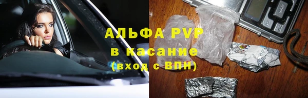 спайс Корсаков