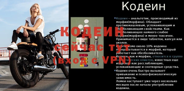 спайс Корсаков