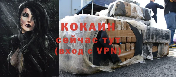 стаф Коряжма
