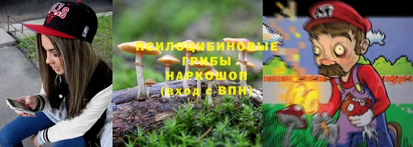 спайс Корсаков