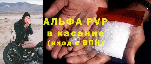 спайс Корсаков